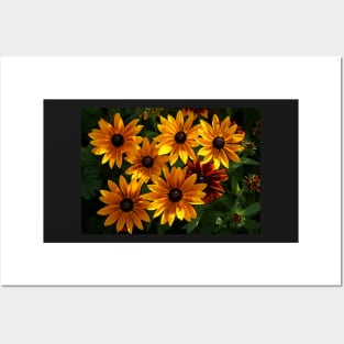 Orange Daisies Posters and Art